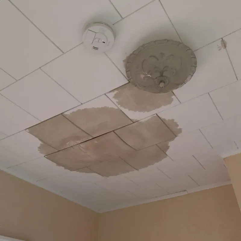 Ceiling Water Damage Repair in Decatur, AL